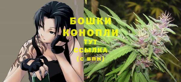 apvp Балахна