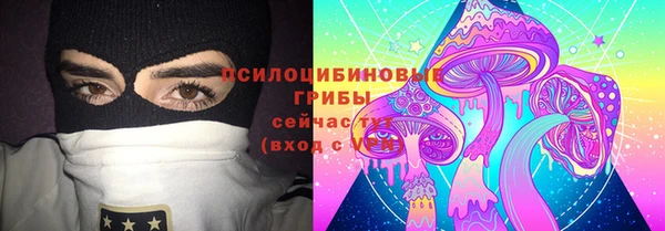 apvp Балахна